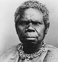 早期的原住民是如何到达澳大利亚的？